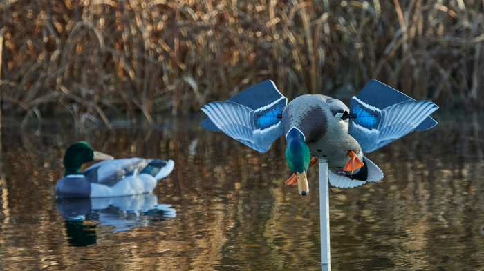 The Latest Trends in Waterfowl Decoys